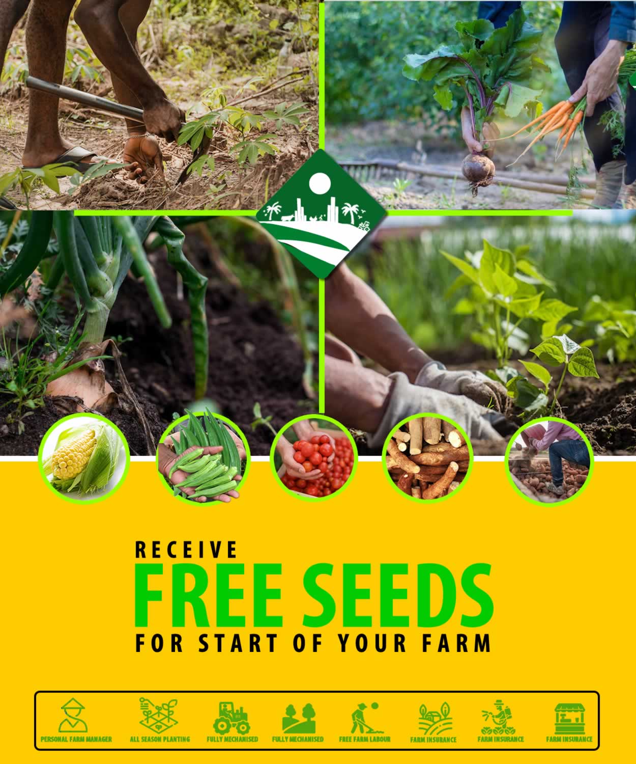 Farms City_FREE SEED